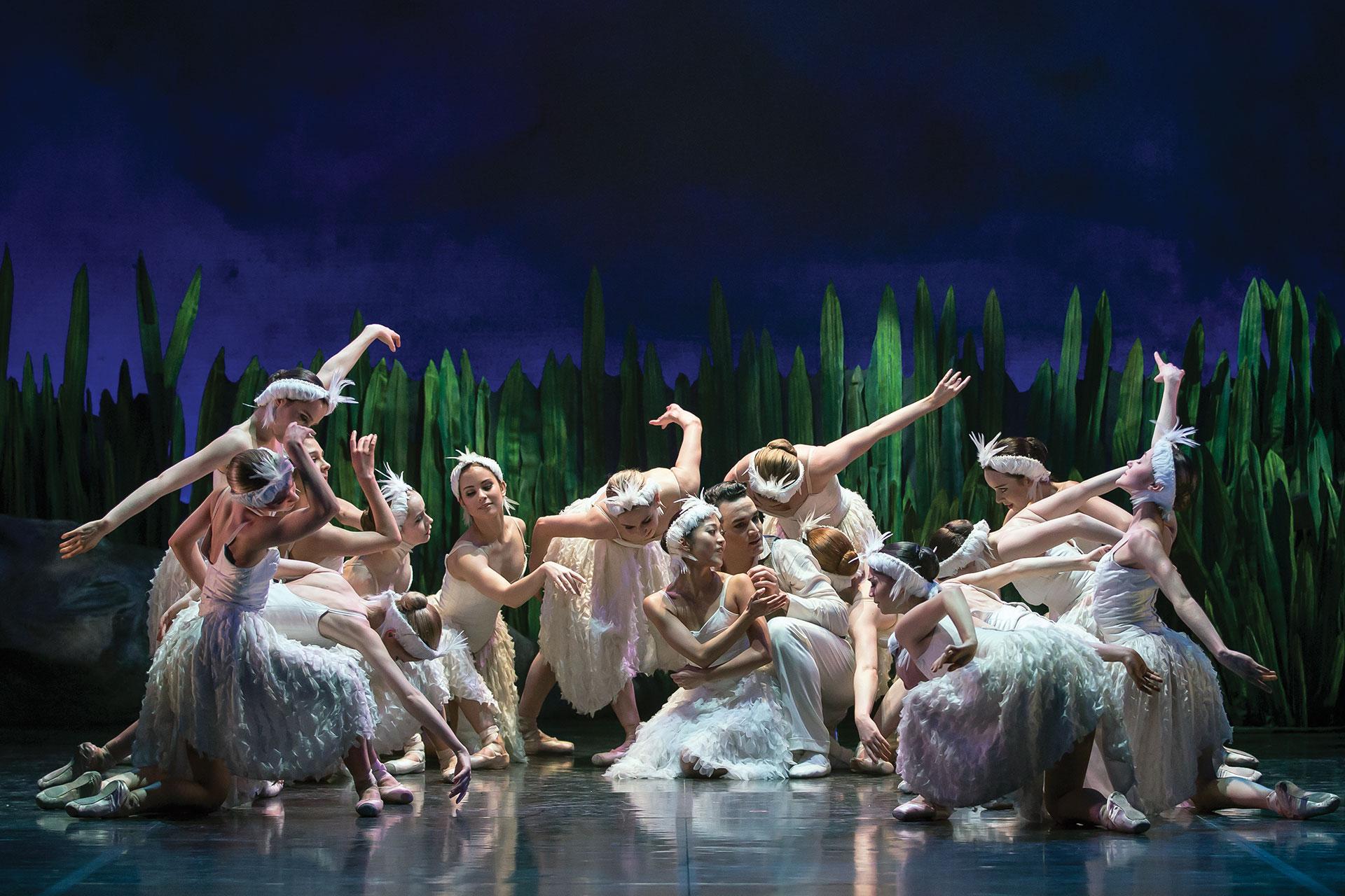 The swans gather around Anthony and Odette in the lake